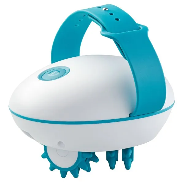 En nyfiken person tar hjälp av sin bort för träning och känner att en egen måste få följa med hem.